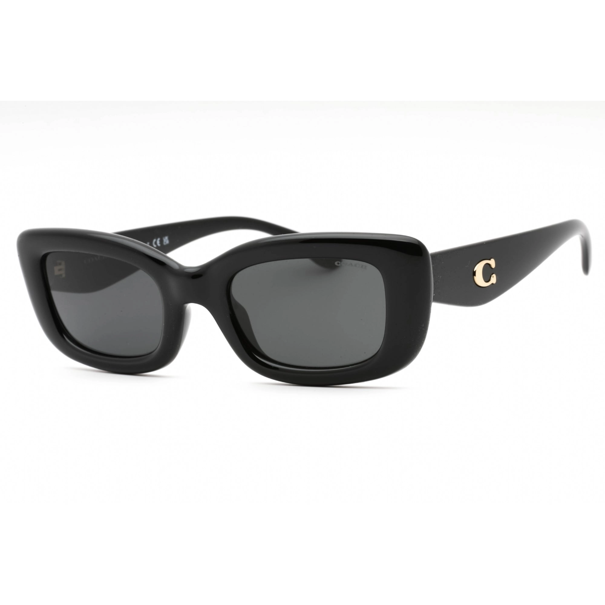Coach Women's Sunglasses - Black Plastic Cat Eye Full Rim Frame | 0HC8390U 500287