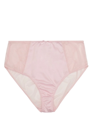 Holly Blush Pink Graphic Mesh HW Brief